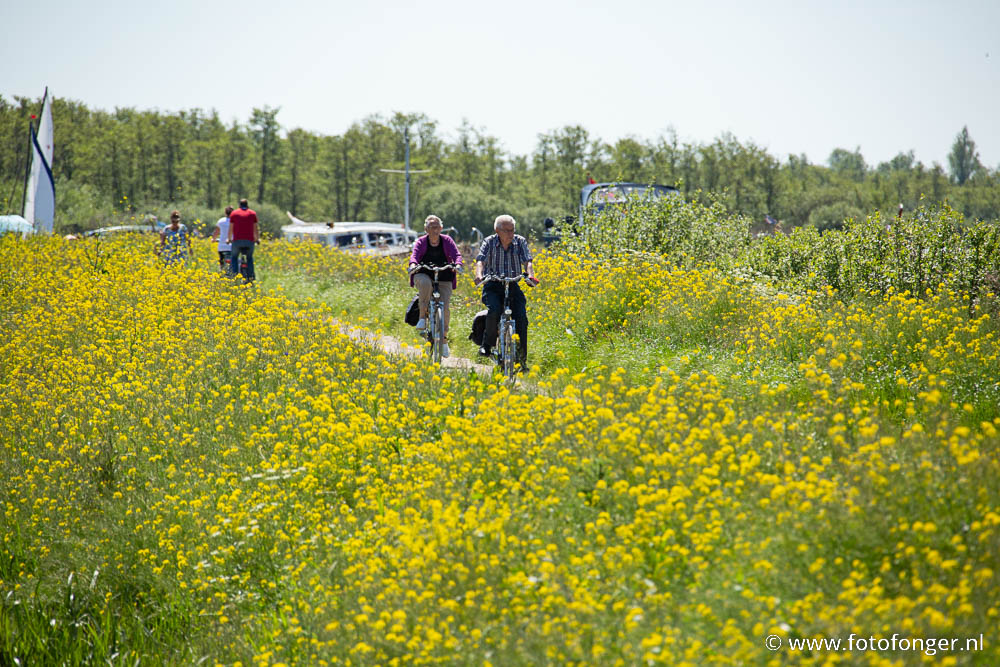 Bike route Leeuwarden – Earnewâld